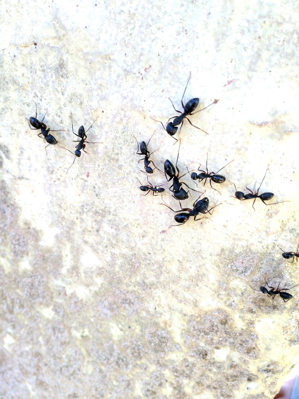 something is going on .