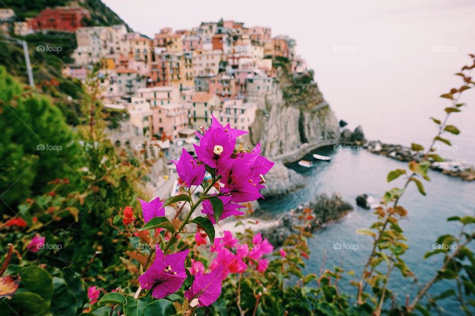 Pretty manarola