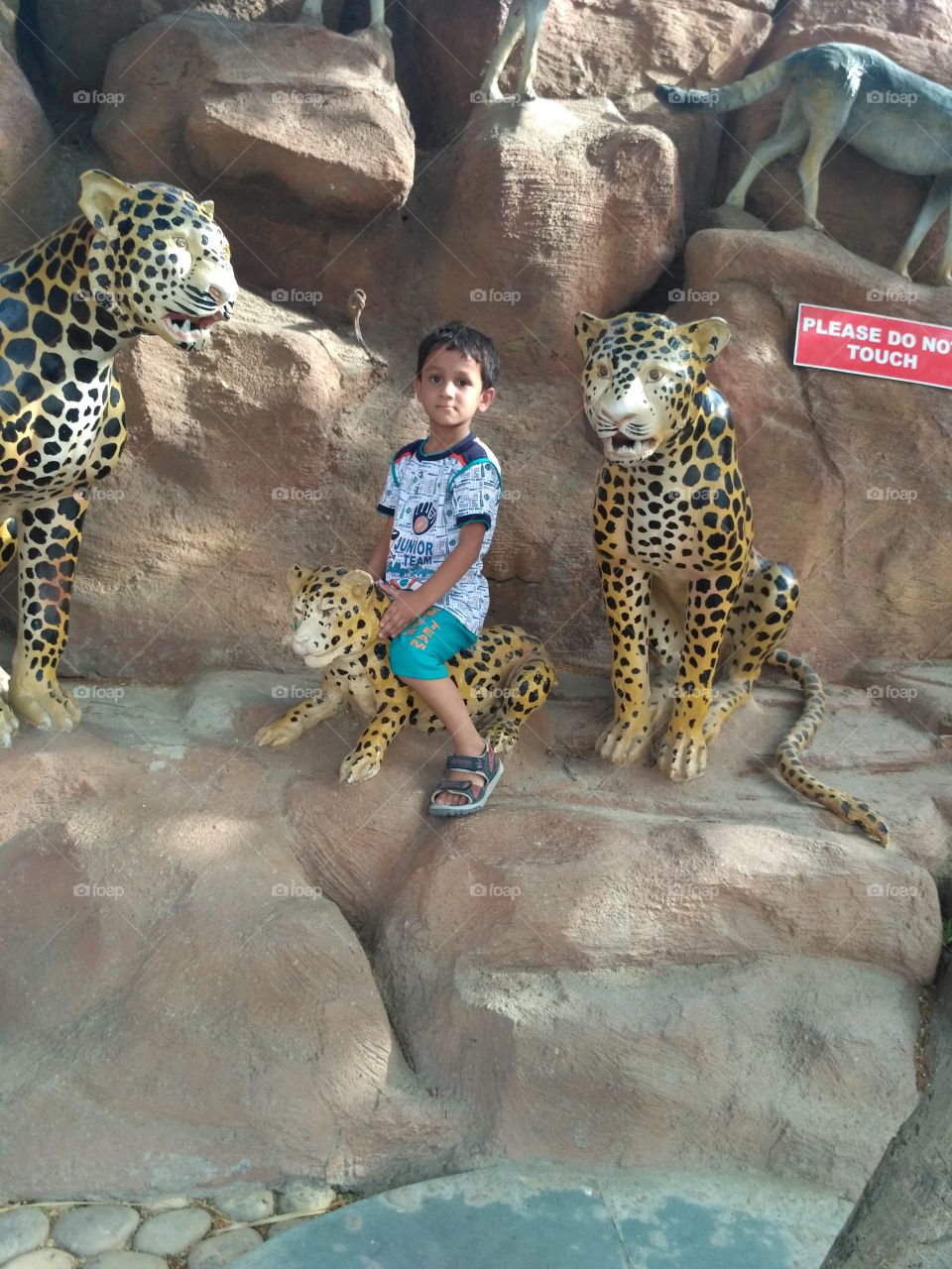 Playing in zoo