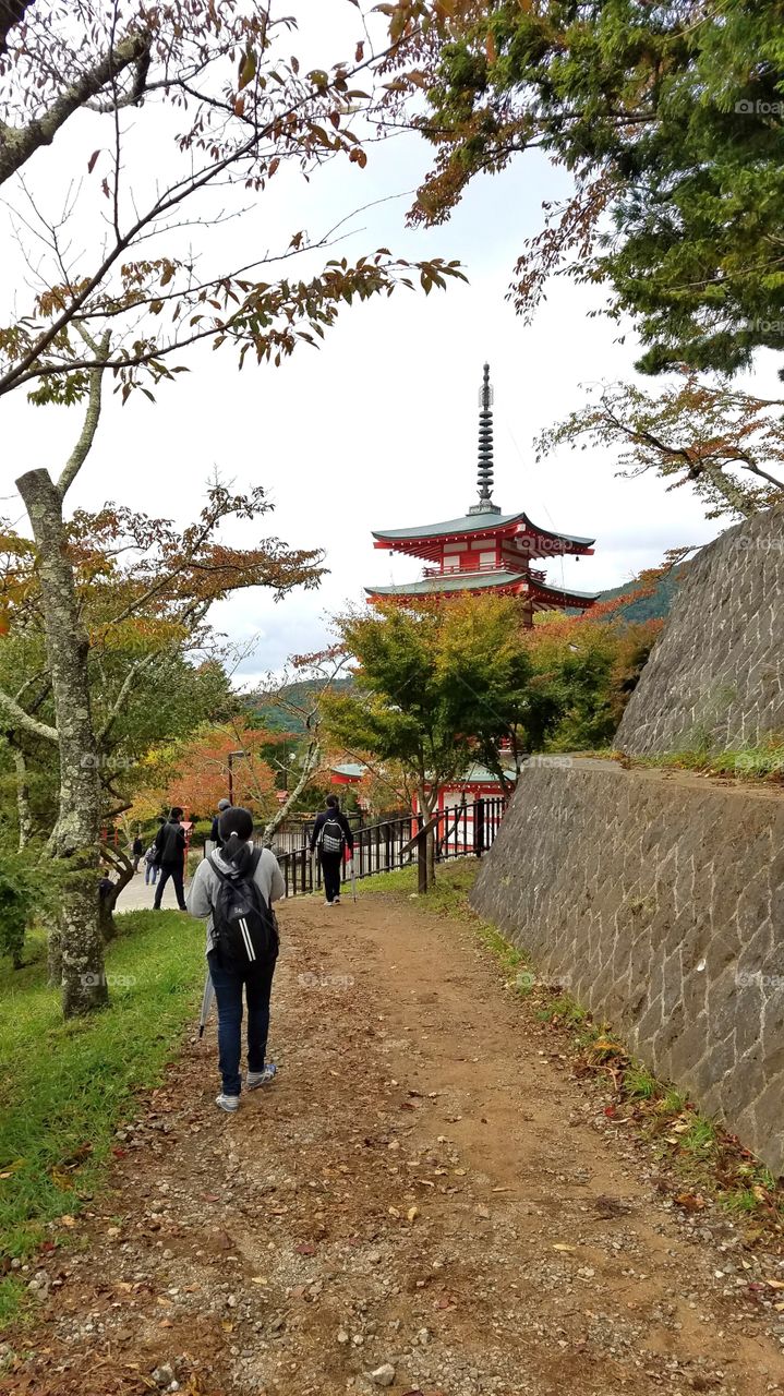 Traveling in Japan