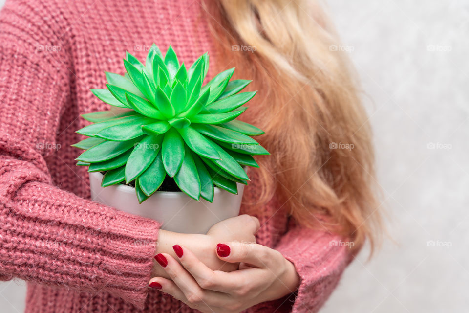 a pot with a green plant of the succulent family in female hands