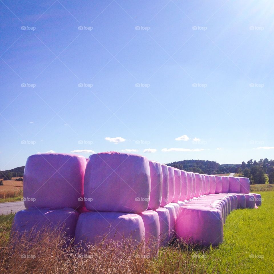 pink haybales