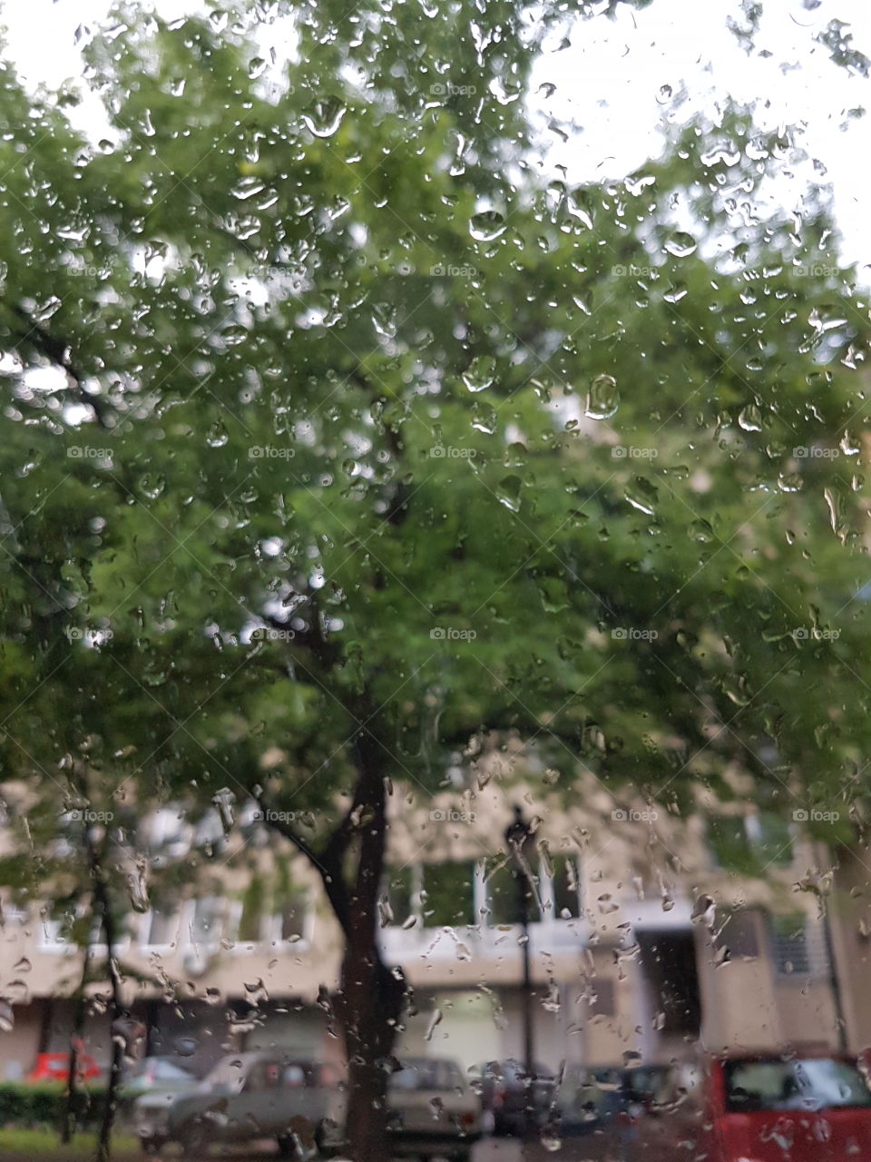 rain drops on the car window