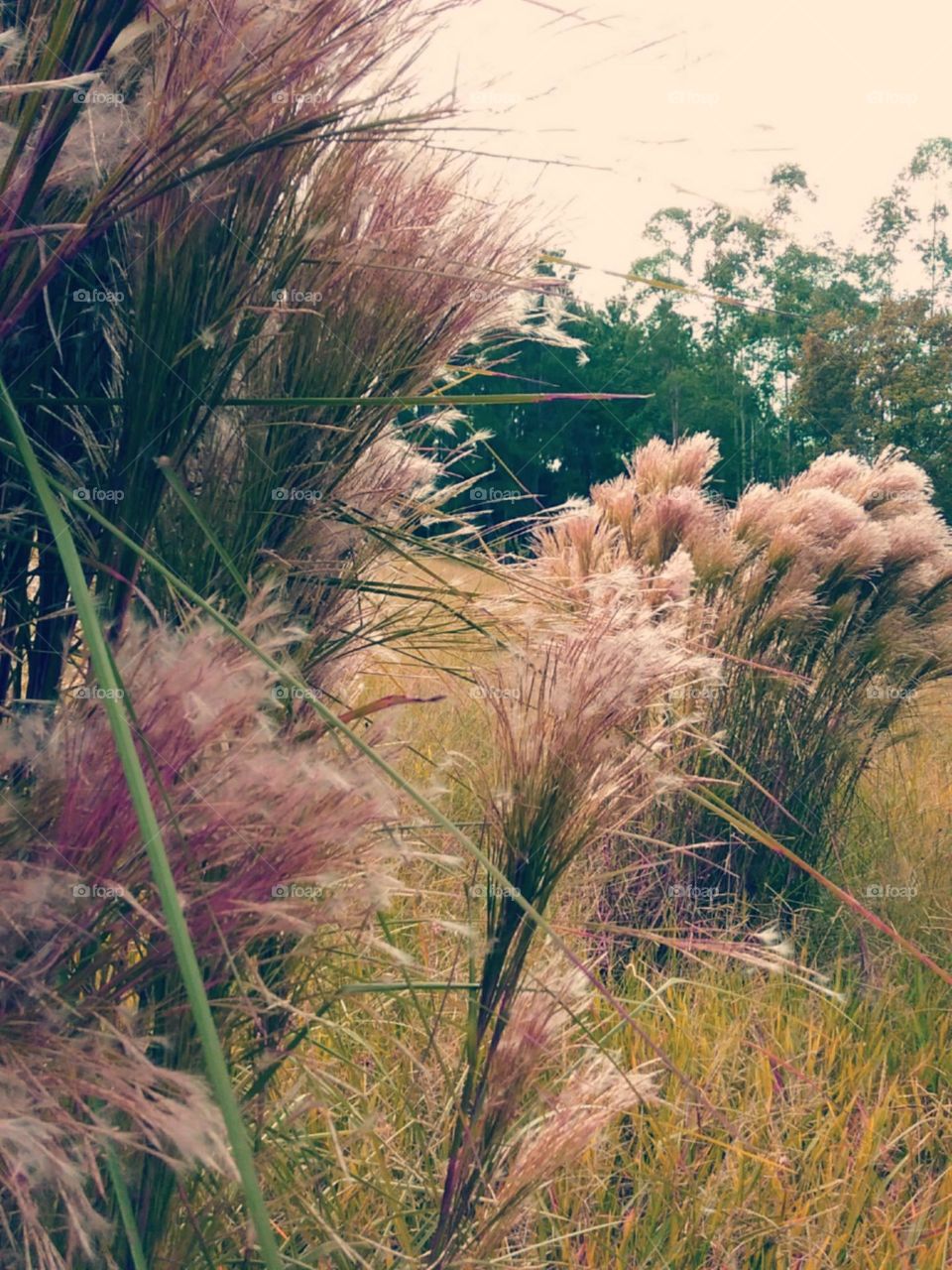 Balançam suave e macios.