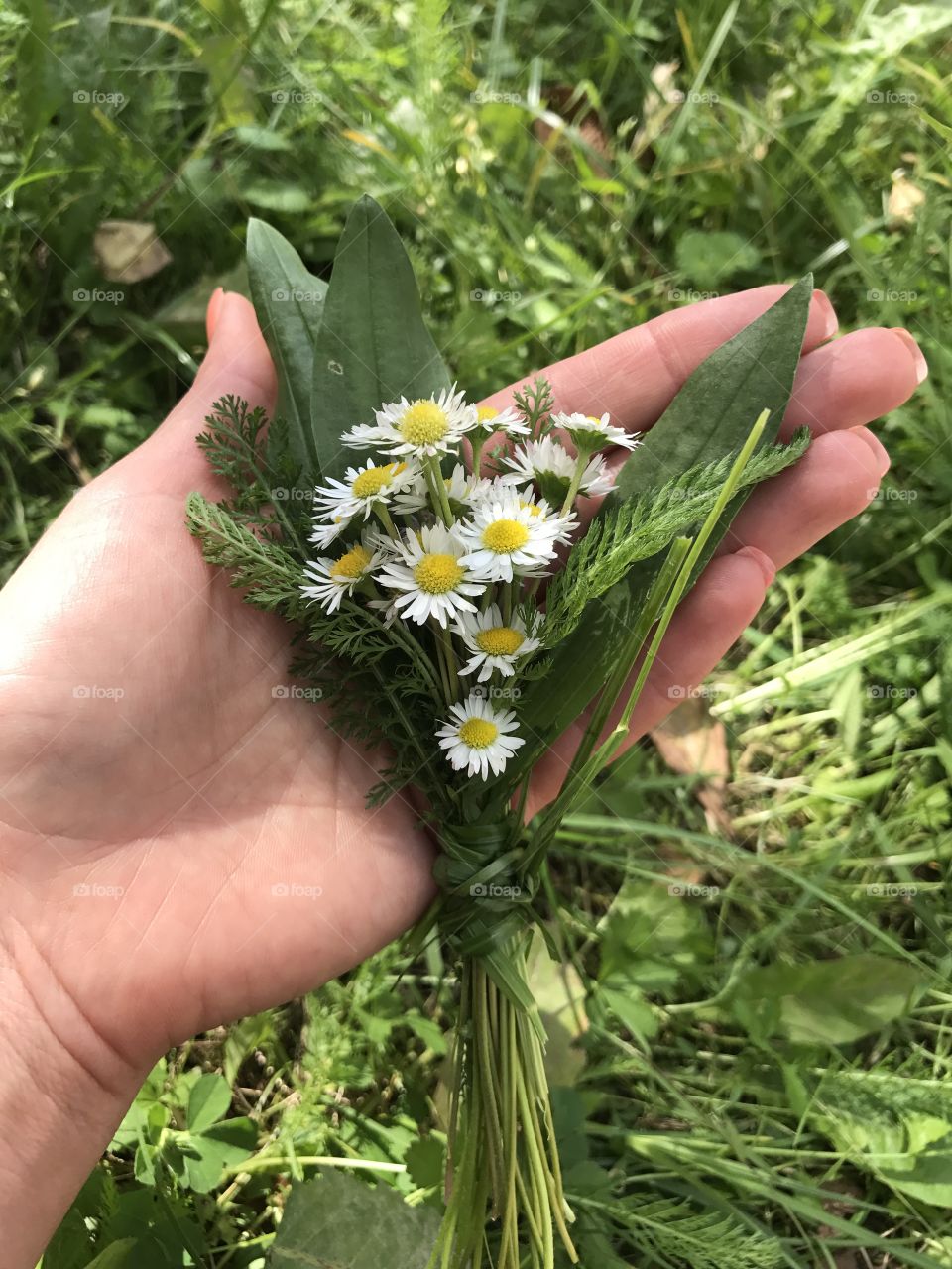 Summertime bouquet 