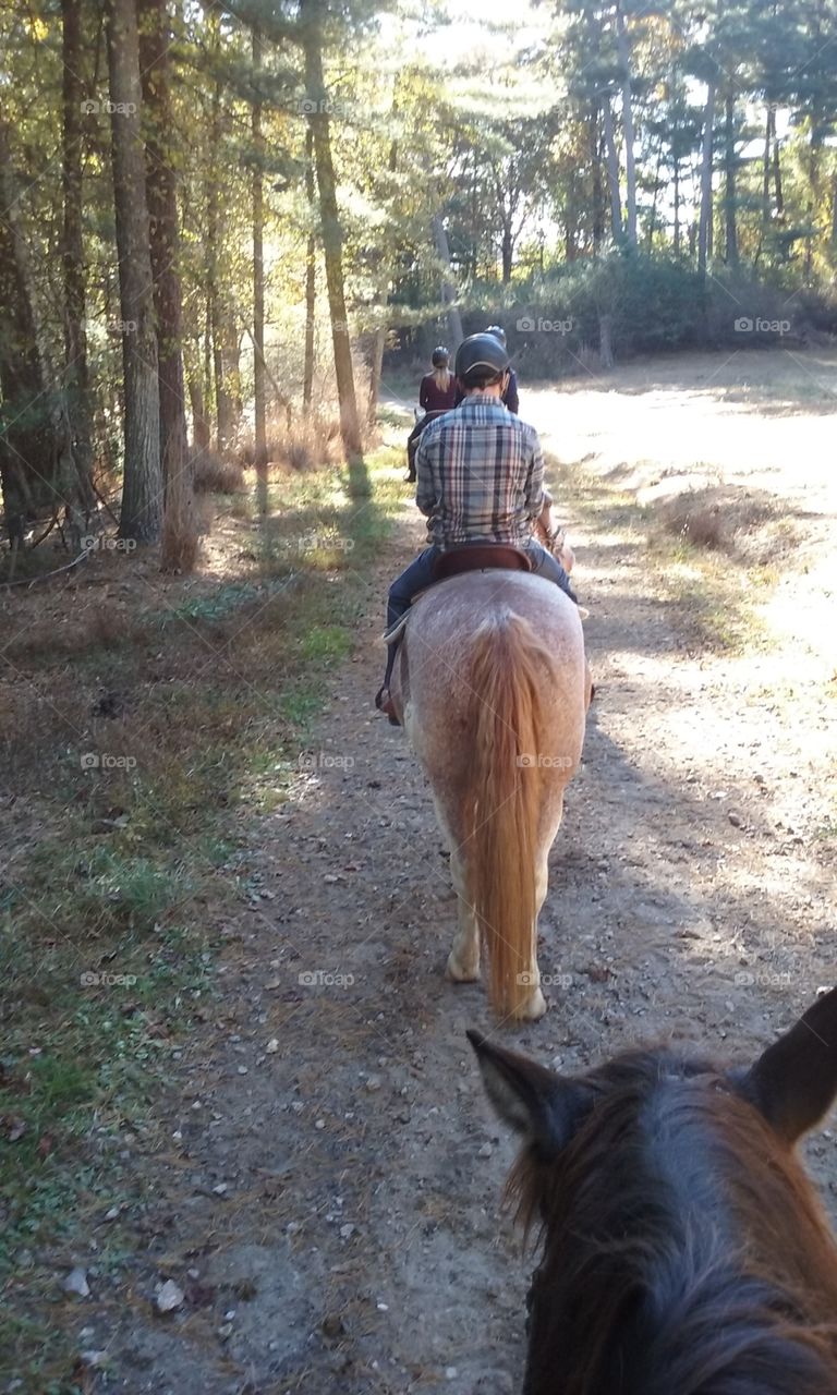 Horseback riding trail