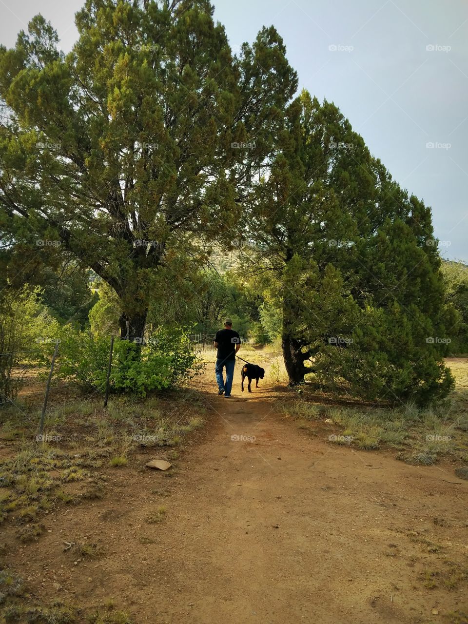 Man walking dog in Prescott Arizona
