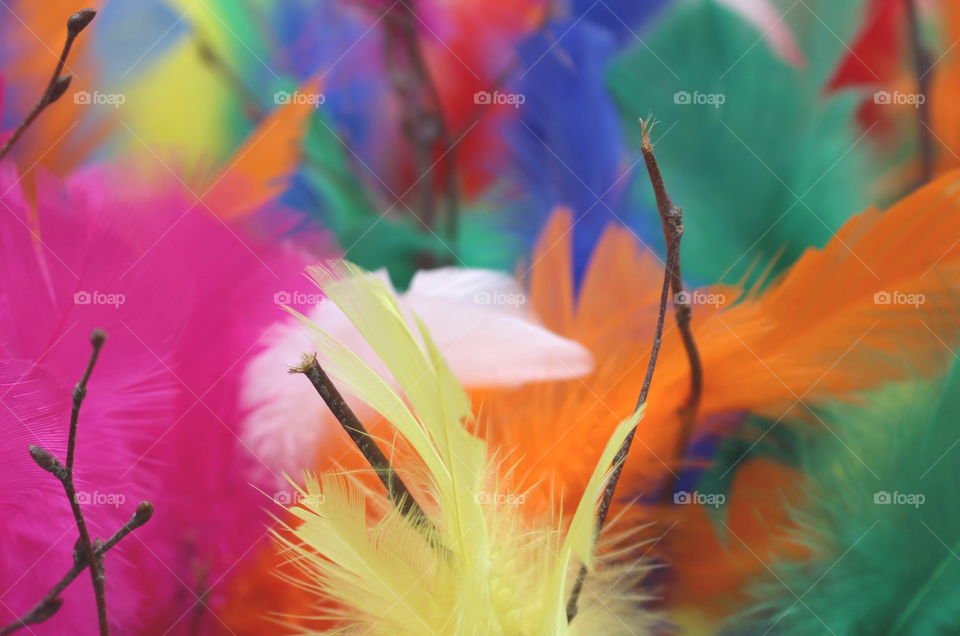 Colourful Easter feathers