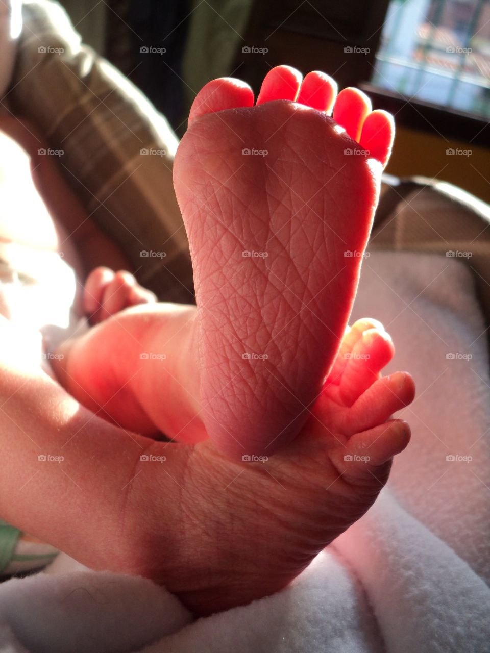 my newborn baby's feet