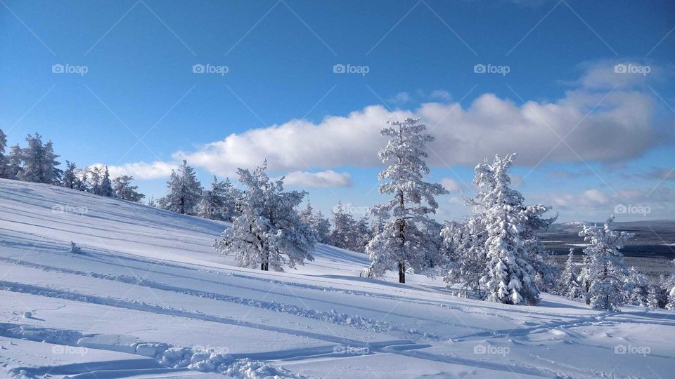 Winter wonderland, Pyhätunturi, Finland