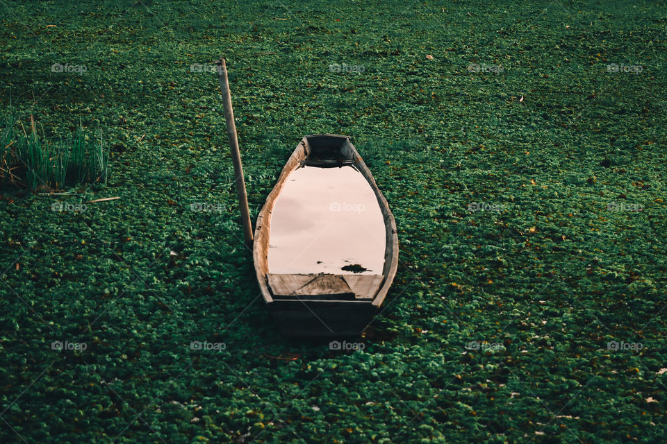 The boat was on the grass-covered water surface.