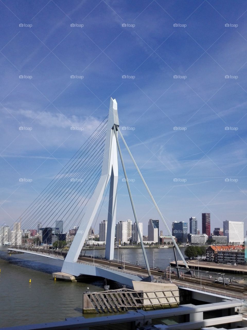 Rotterdam