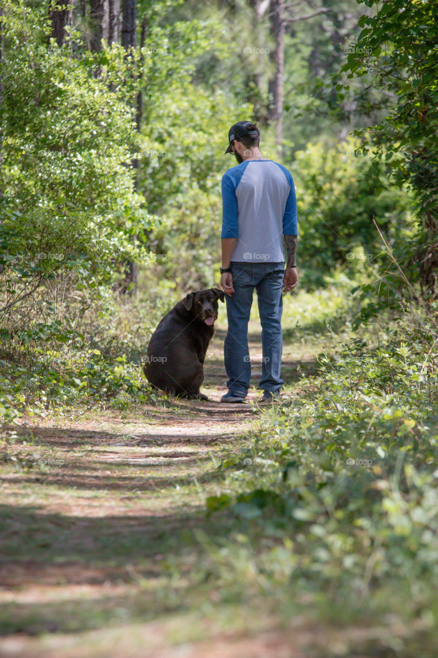 Pet time walk on trail with chocolate lab