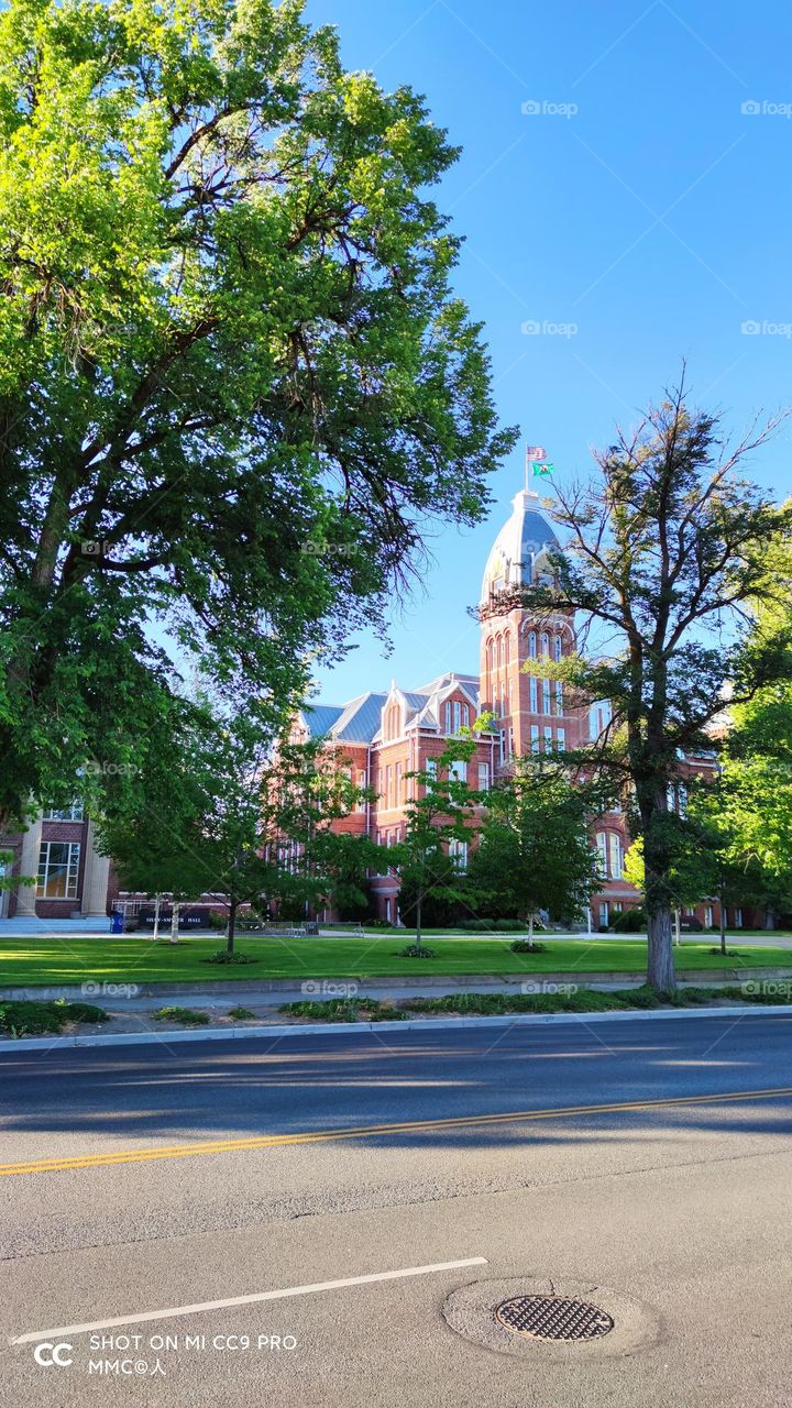 schools and universities series