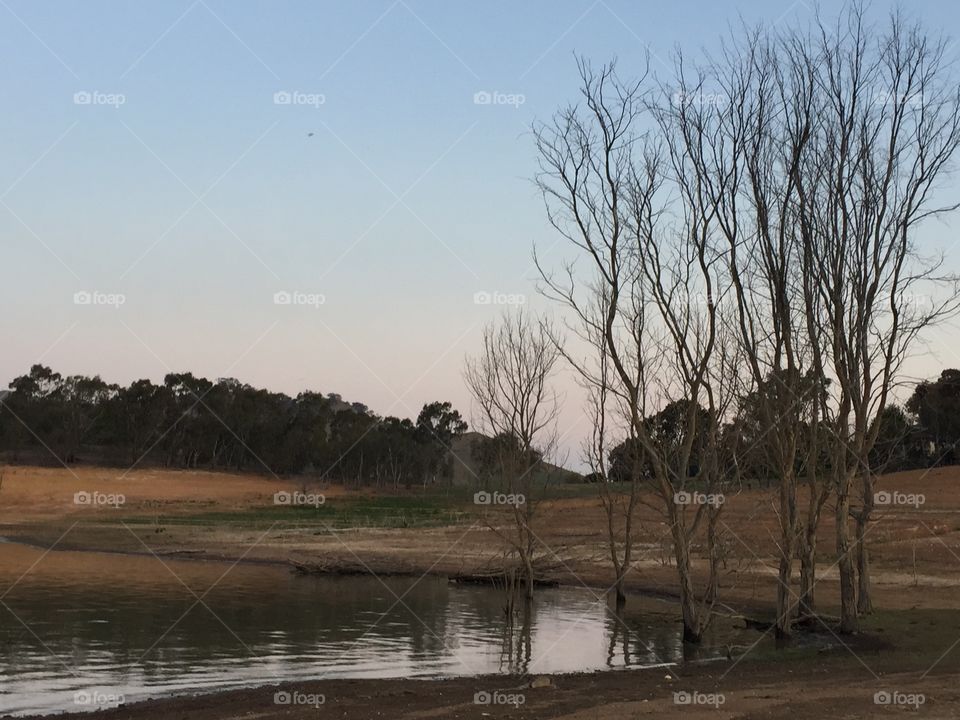 Captured in Eildon Lake that we went for fishing