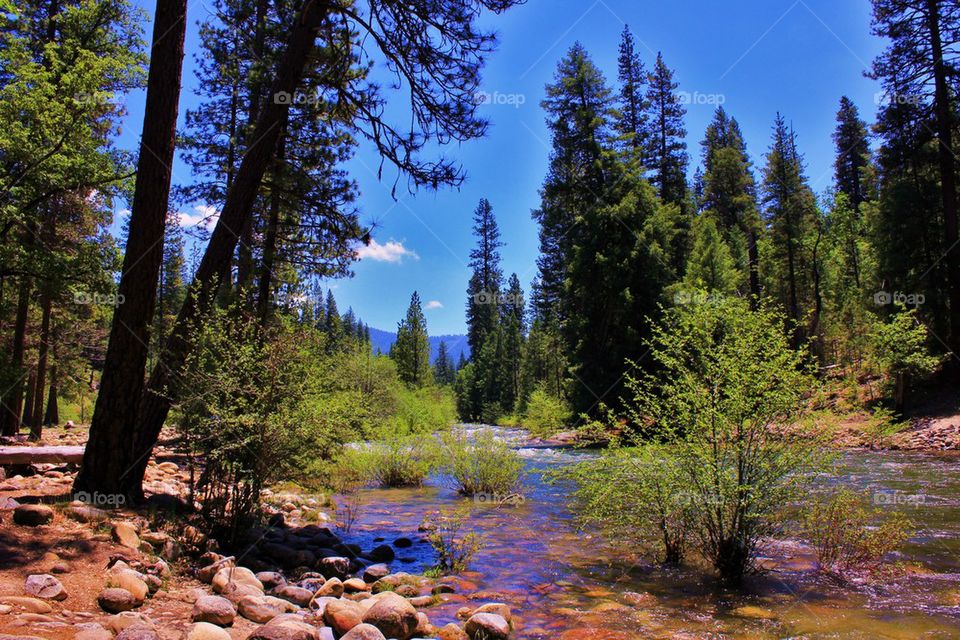 Quiet Yosemite 