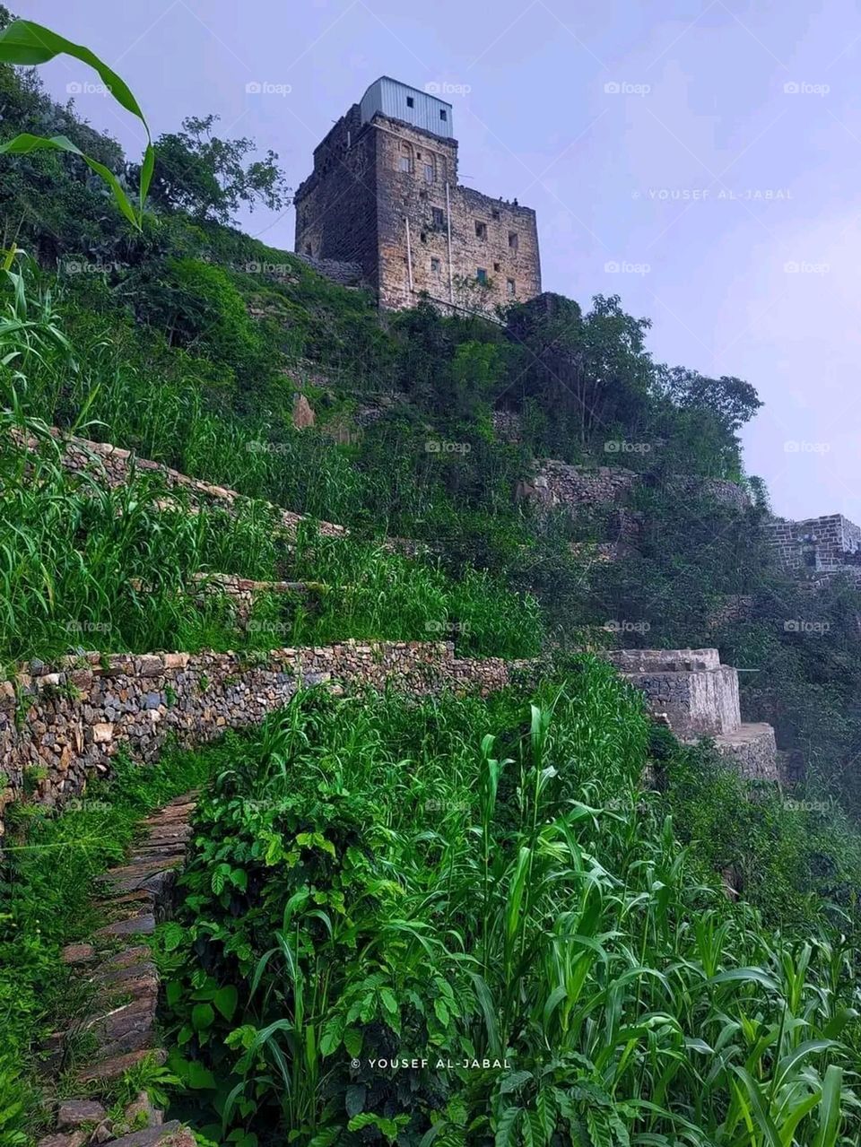 A very beautiful picture, and there is no better picture than it. There is no better picture of green herbs and colorful, red and white roses than it. Glory be to God, the natural and picturesque view, and there is no more