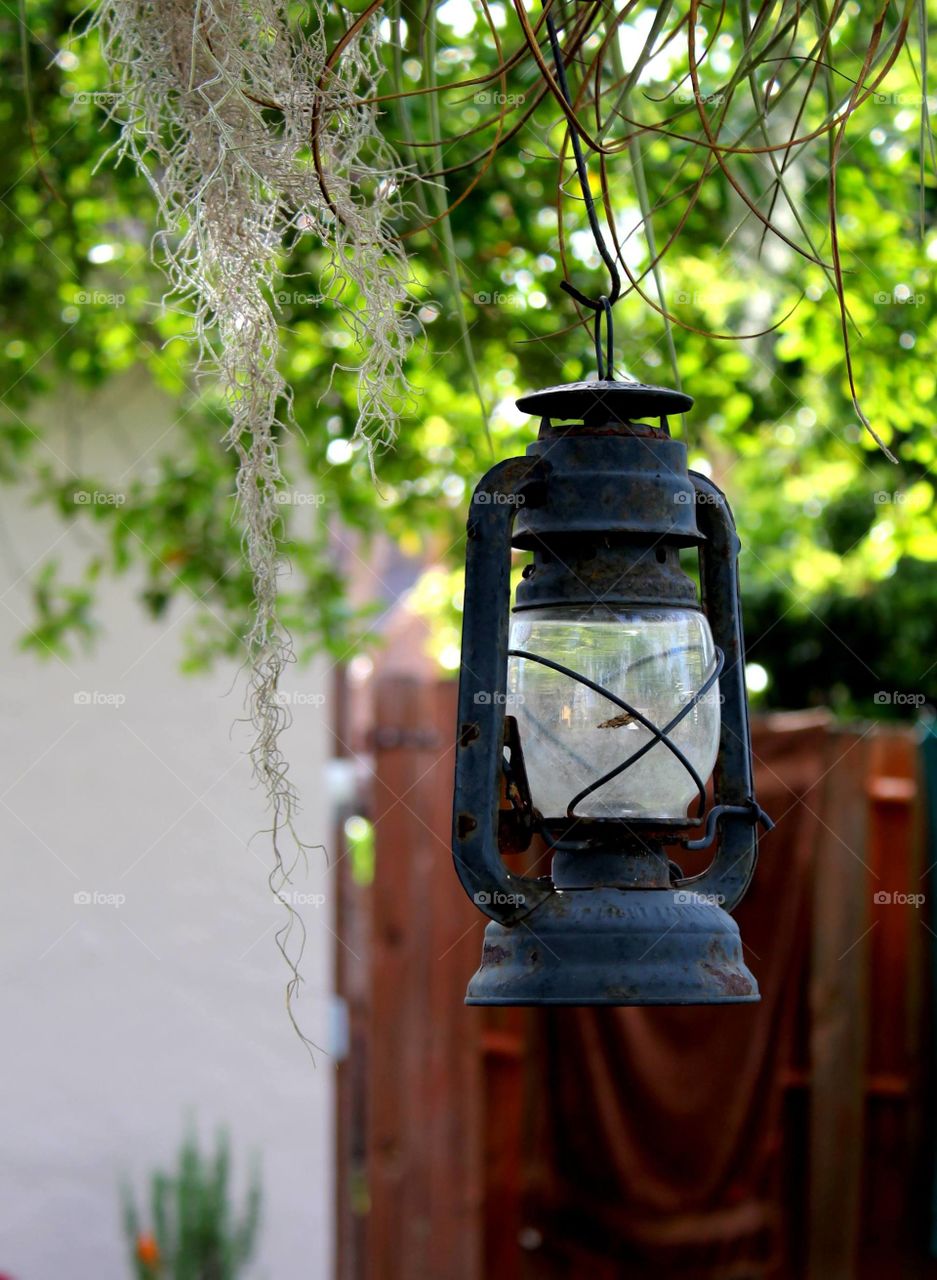 One lantern in your garde, one light at night.