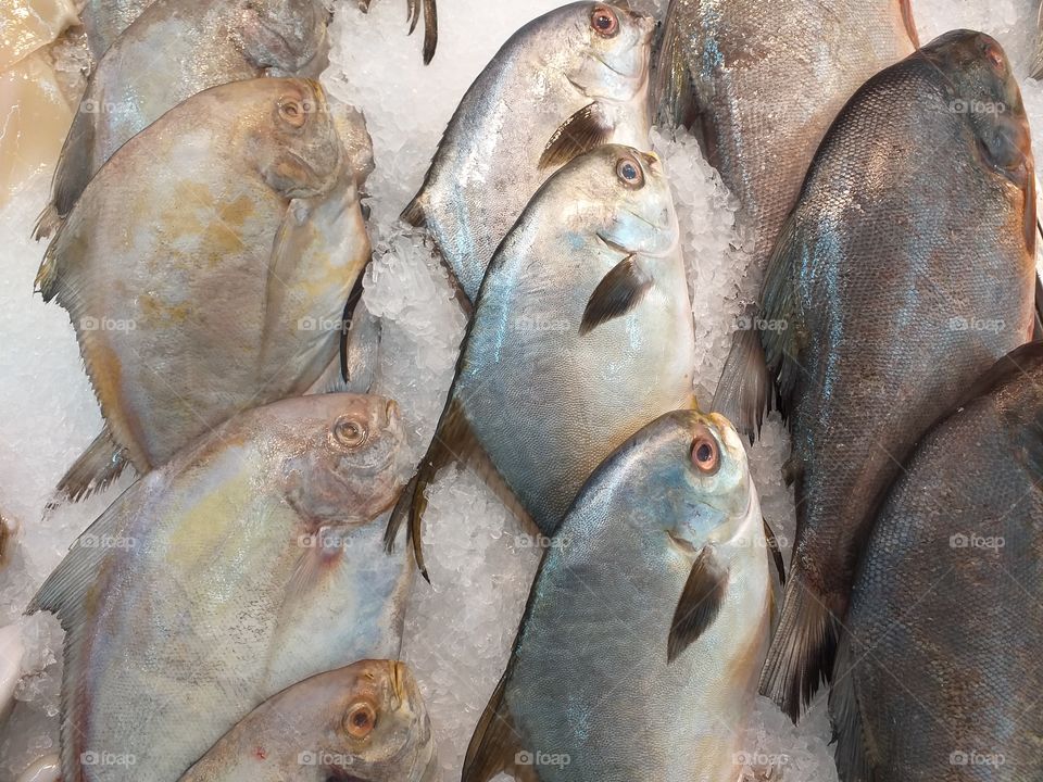 Fishes displayed on tray