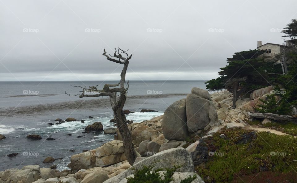 Pebble Beach, 17-Mile Drive 
Monterey and Carmel, California