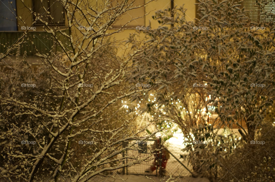 snow winter christmas night by lexlebeur