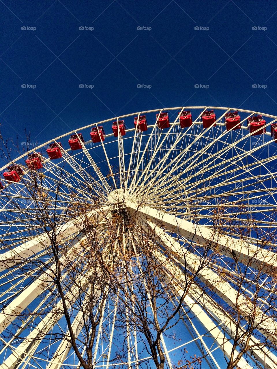 Navy Pier Ferris Wheel 
