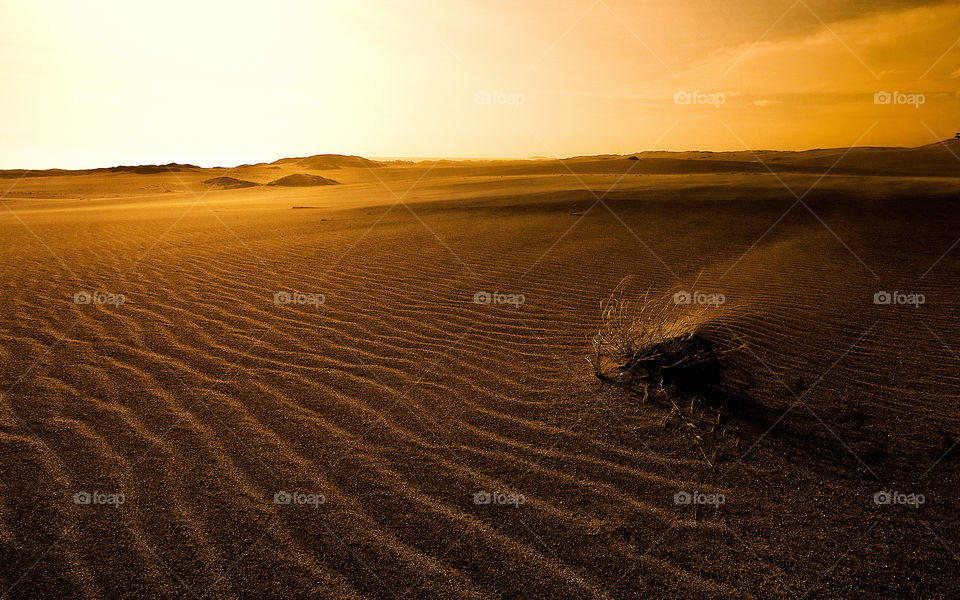 Sand formation in desert