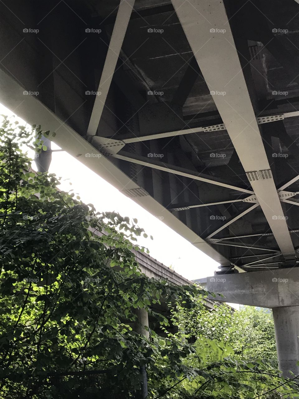 Under the bridge