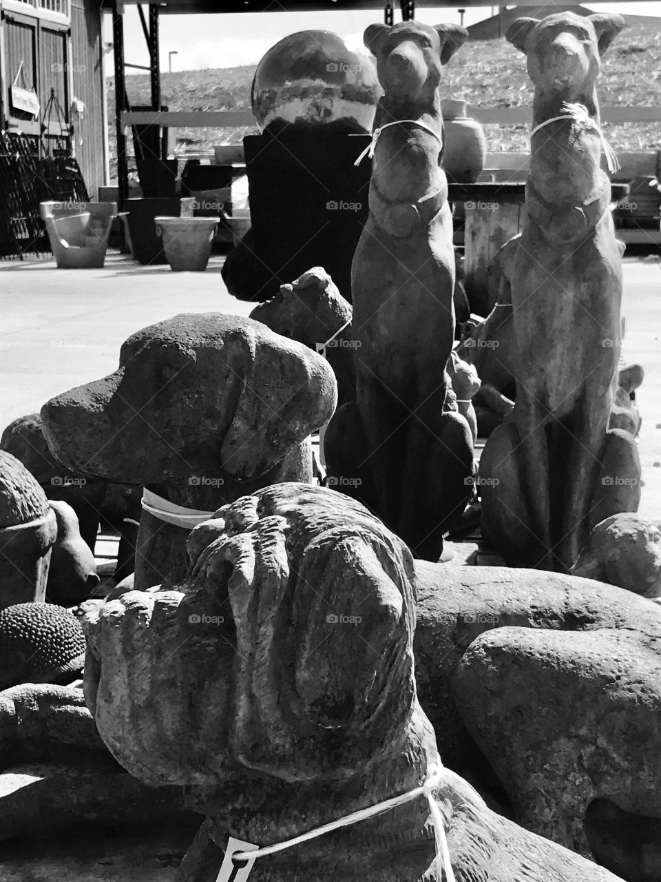 Dog statues 