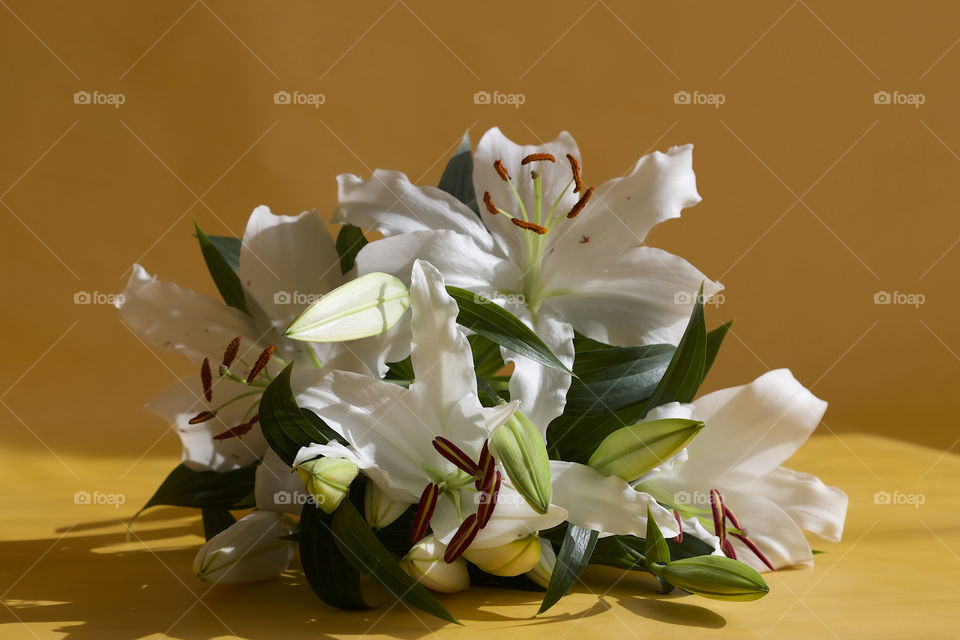 white lilies