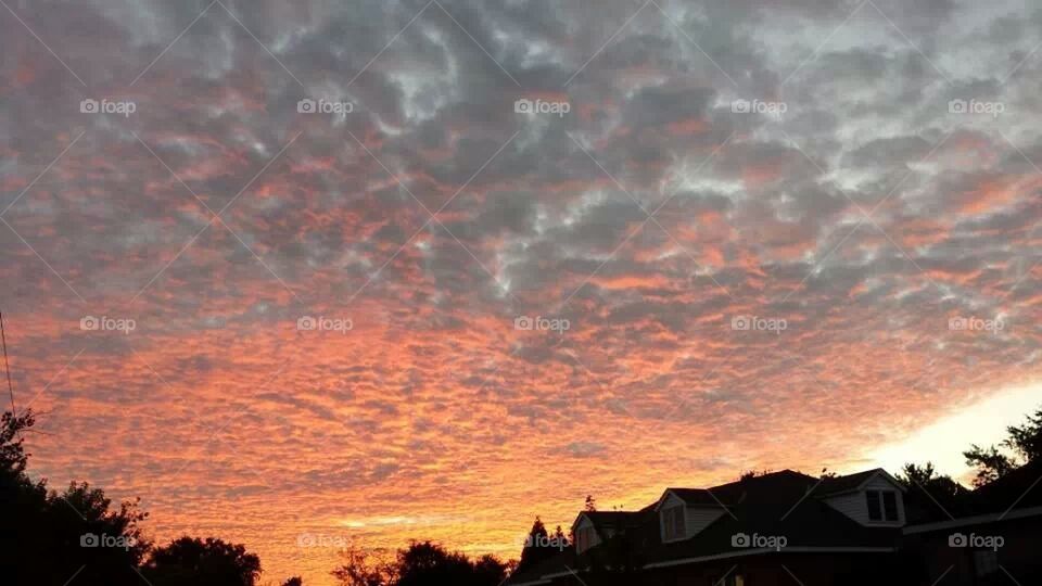 Morning Sky Paint