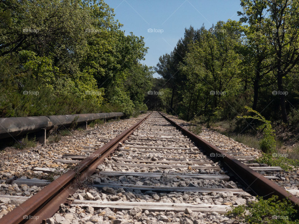 Railway in forest 