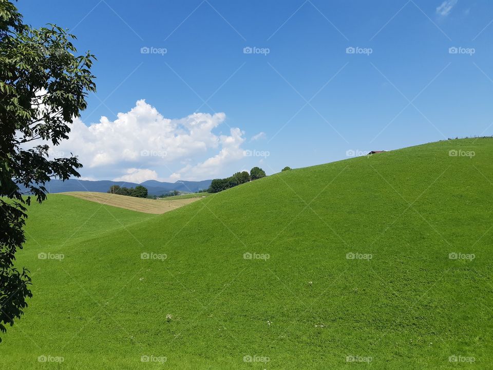 green fields at the mountains under a blue sky