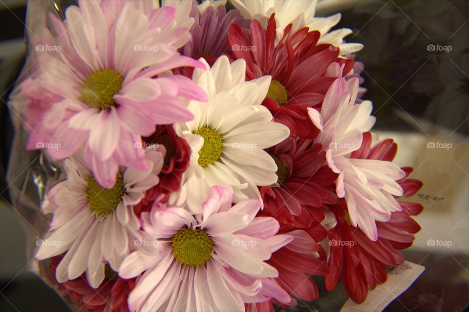 Multi-Colored Spring Bouquet