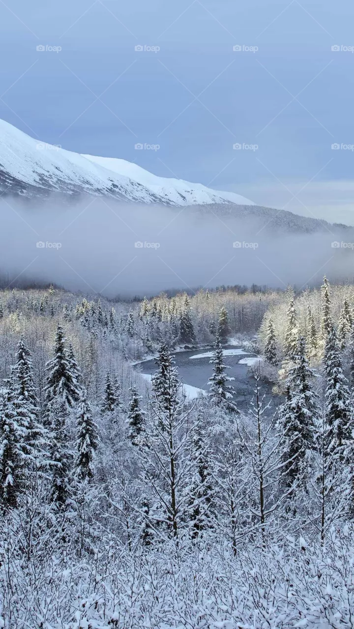 Winter Snow