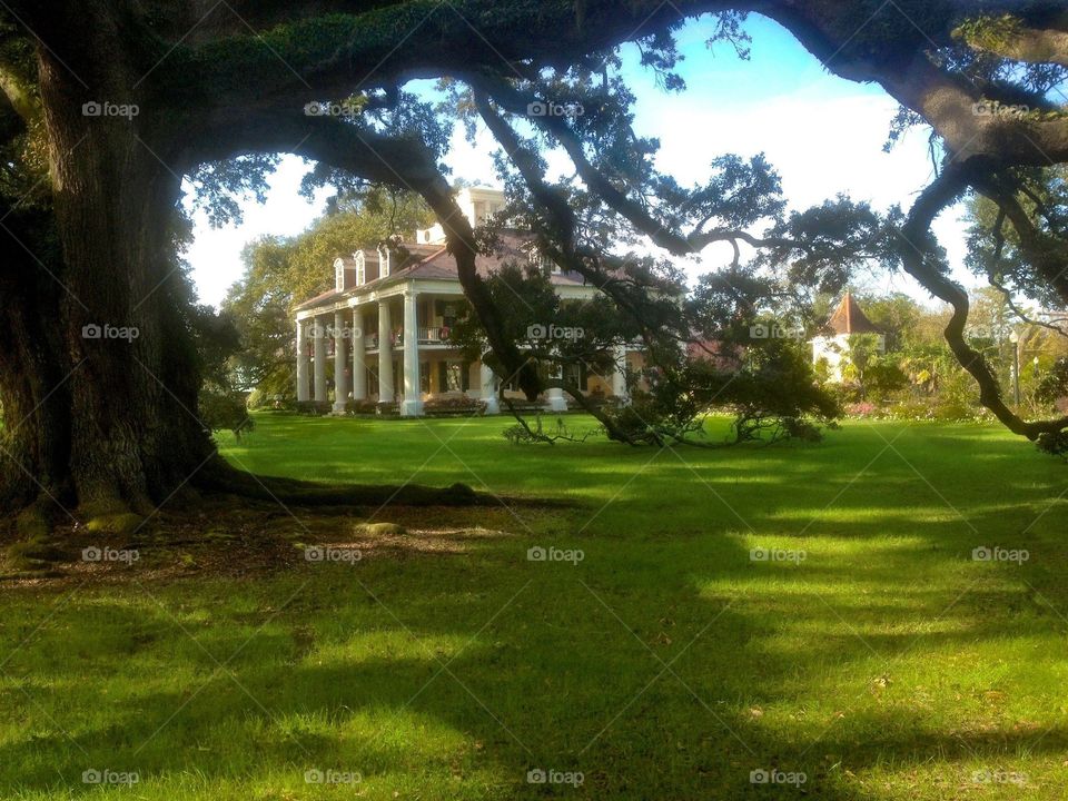 Houmas House plantation. Louisiana plantation