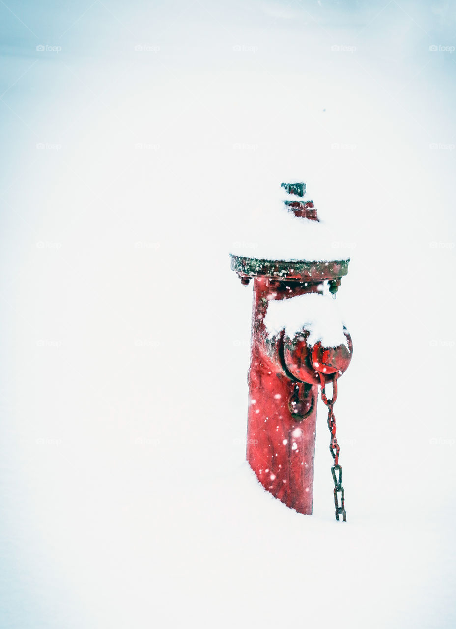 Snow, winter, fire hydrant 