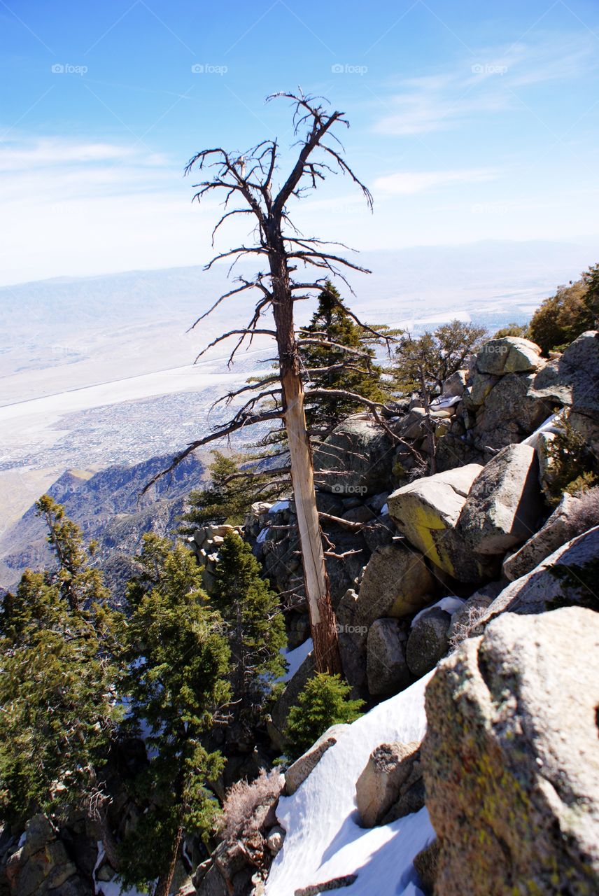 A look from high above the ground 