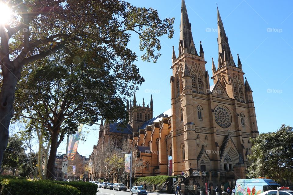 Saint Mary’s Cathedral 