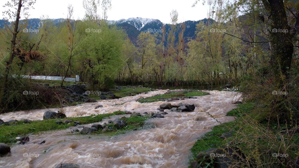 Water, River, Landscape, Nature, Tree