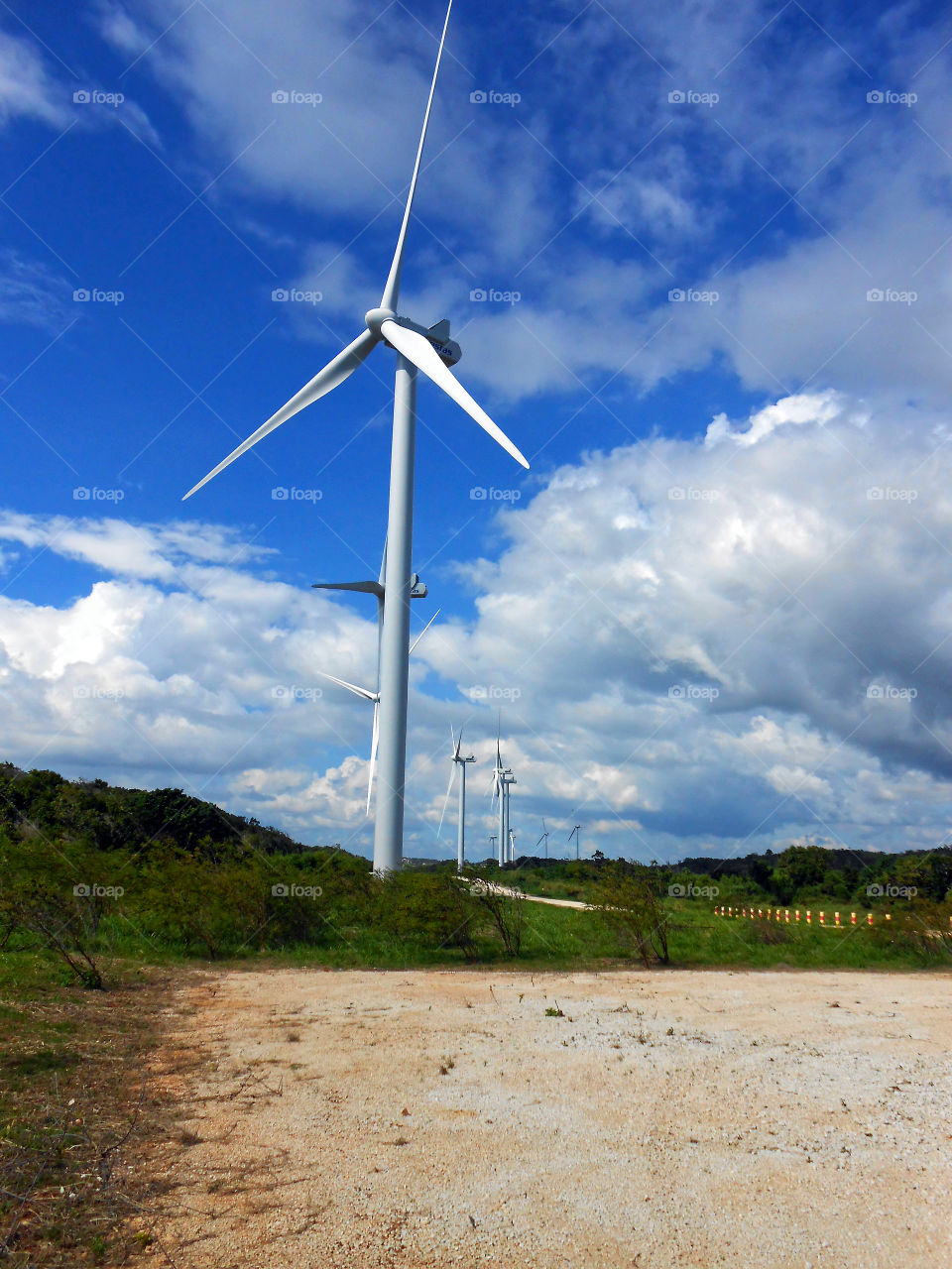 Wind Mill