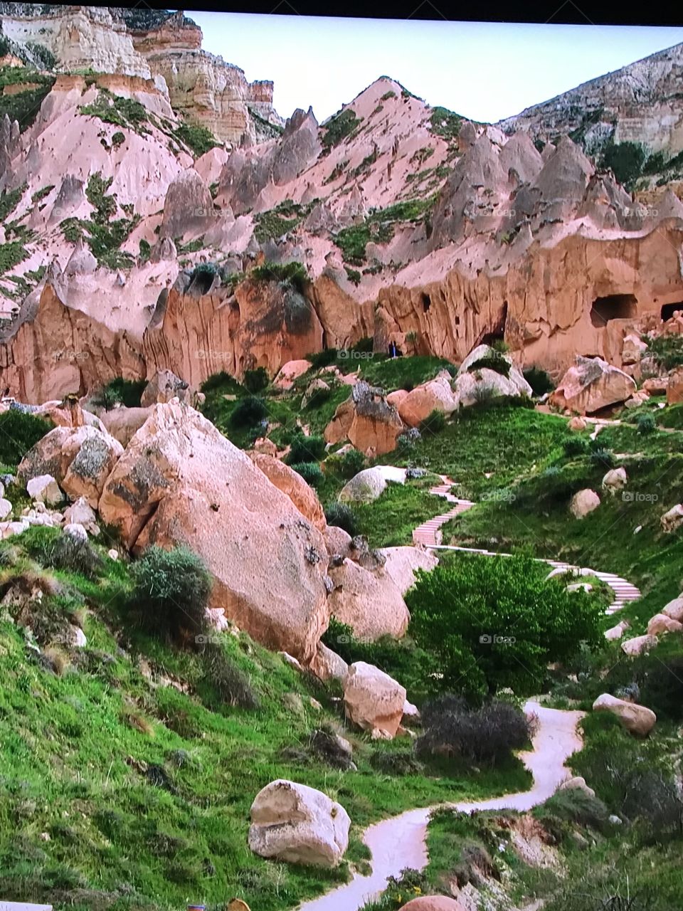 Awesome Turkey Mount