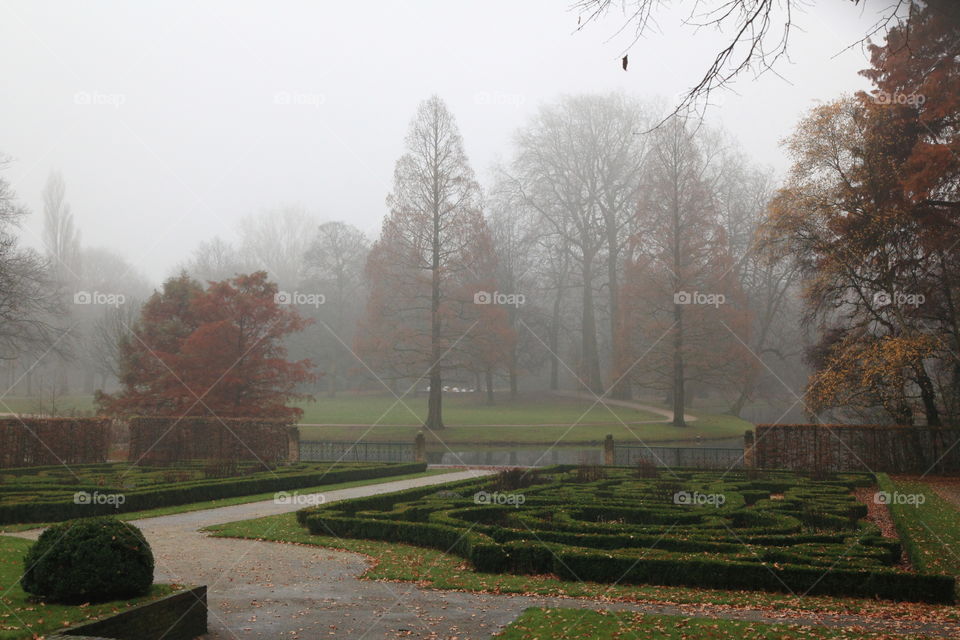 curved road and foggy morning