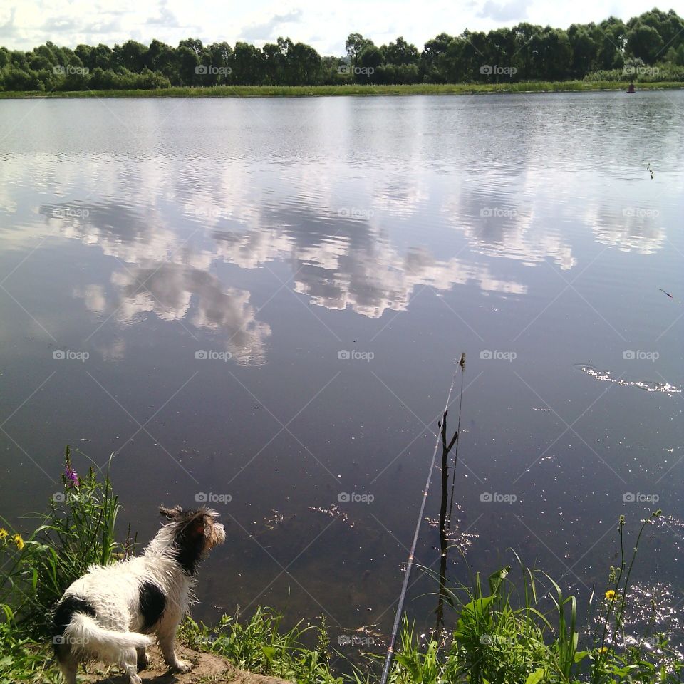 в ожидании клёва