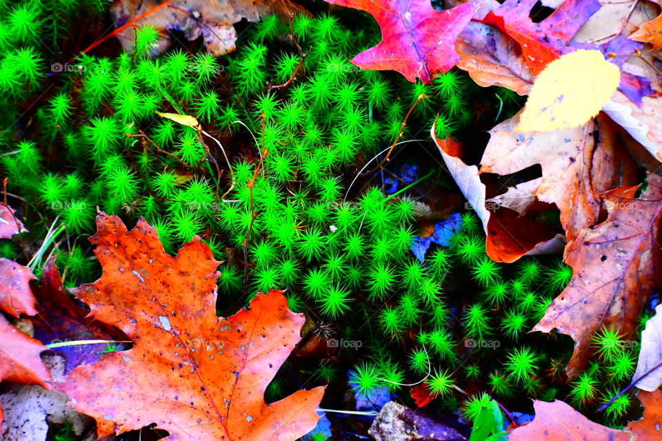 Fall is coming y'all! 🥰