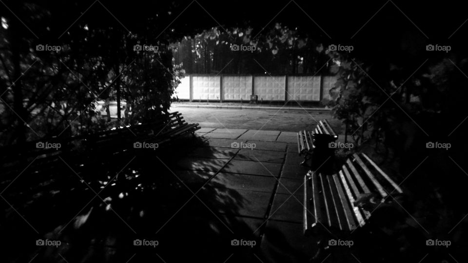 benches in the dark