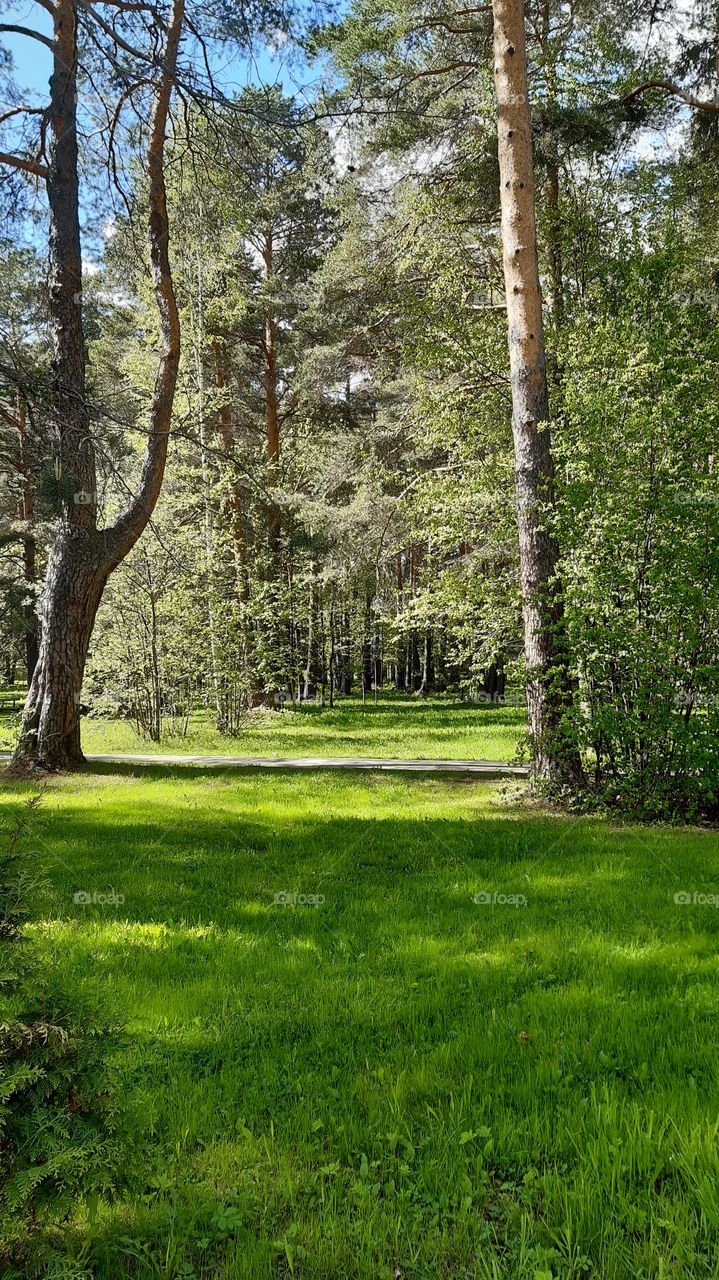 красота природы