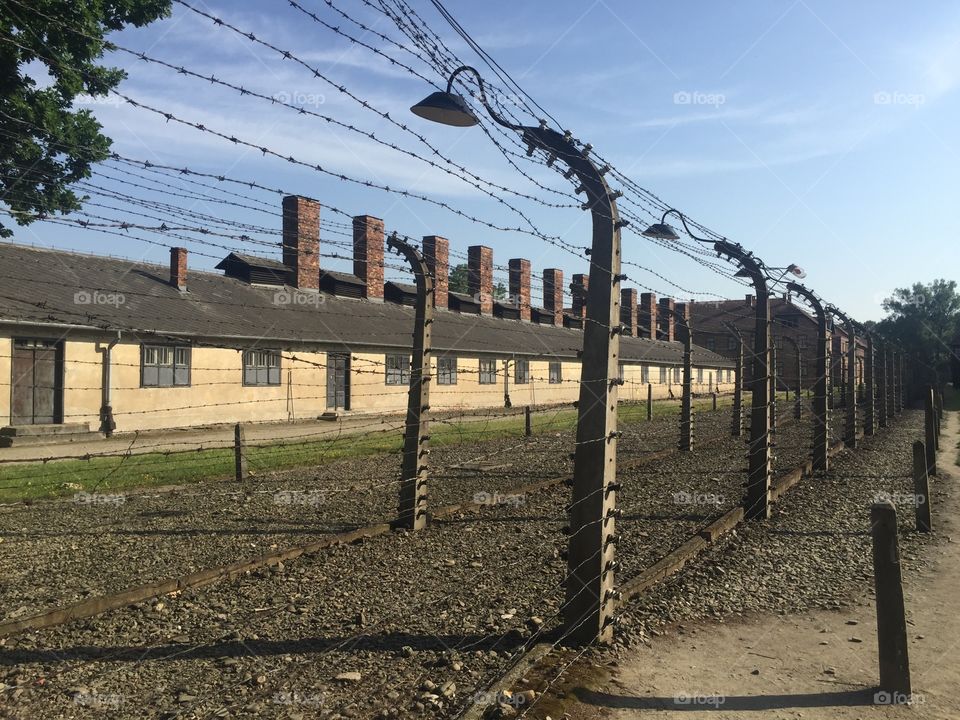 Barbed wire fence in Oswiecim 