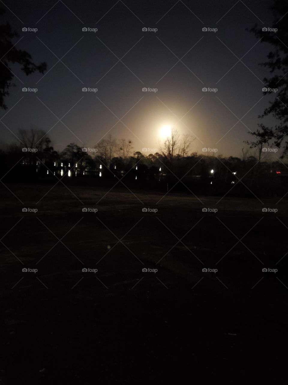 Full moon 2/16/22
