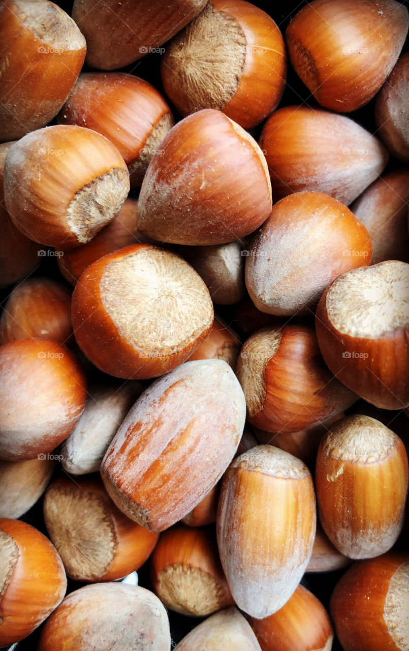 Hazelnuts background 